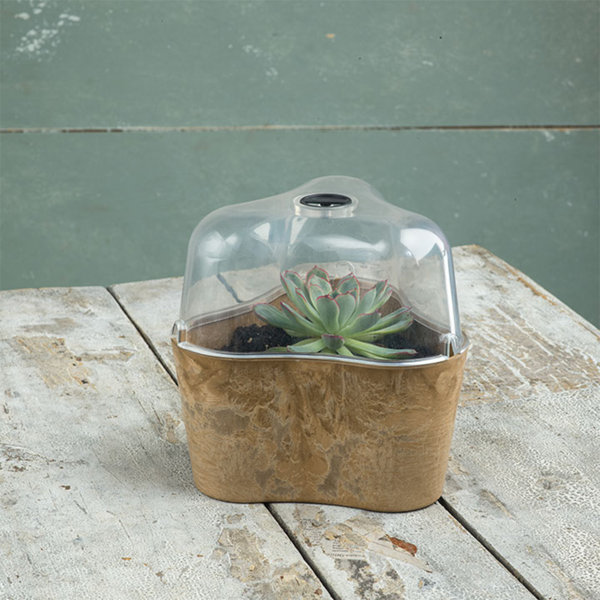 Novelty Planter Box Wayfair